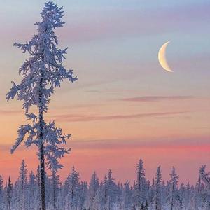 我爱搞笑52g免费观看完整版中文
